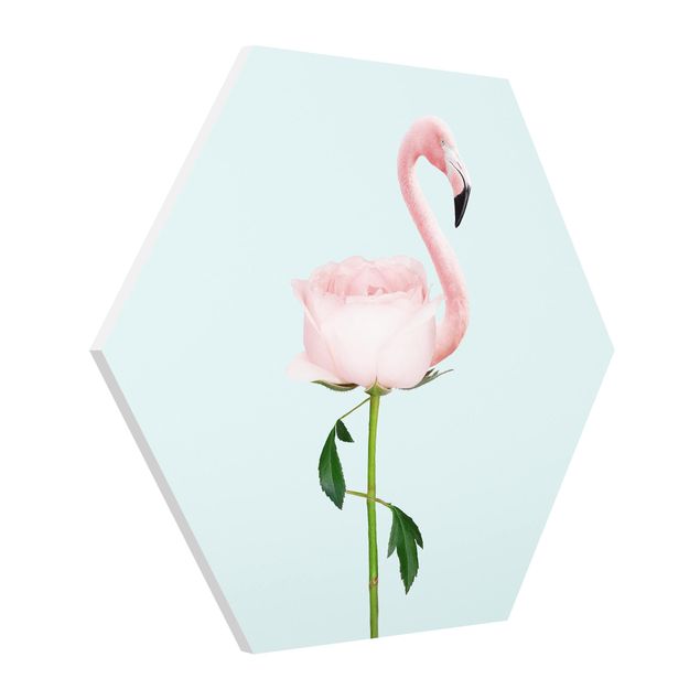 Esagono in forex - Flamingo con Rosa