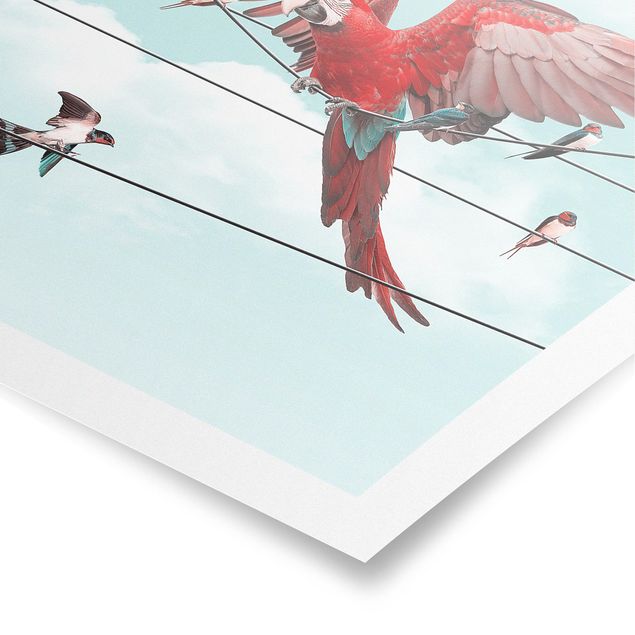 Poster - Jonas Loose - Cielo Con Uccelli - Verticale 3:2