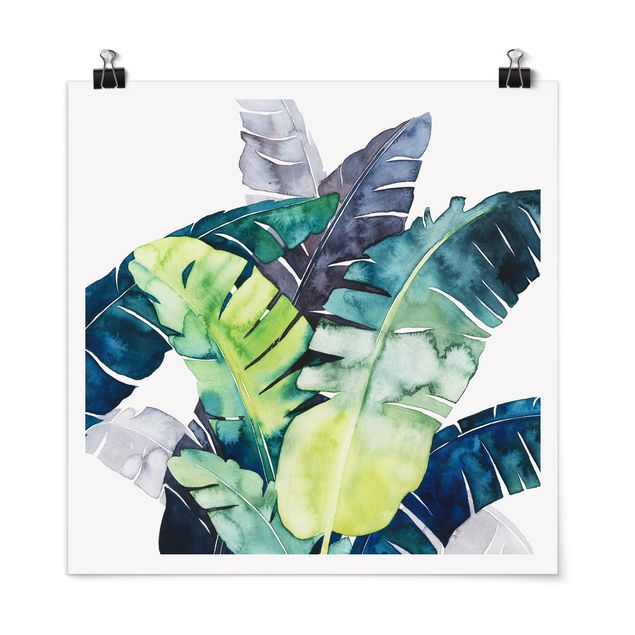 Poster - Exotic Foliage - Banana - Quadrato 1:1