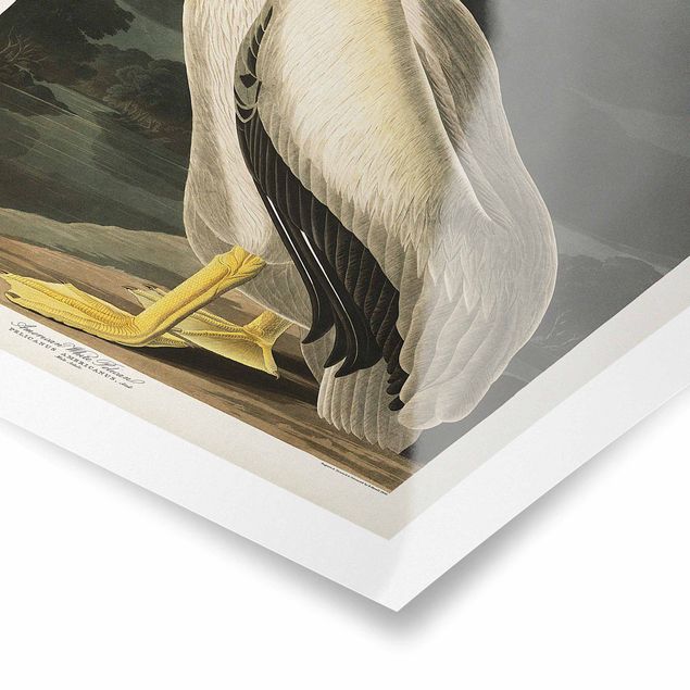 Poster - Pelican White Board Vintage - Verticale 3:2