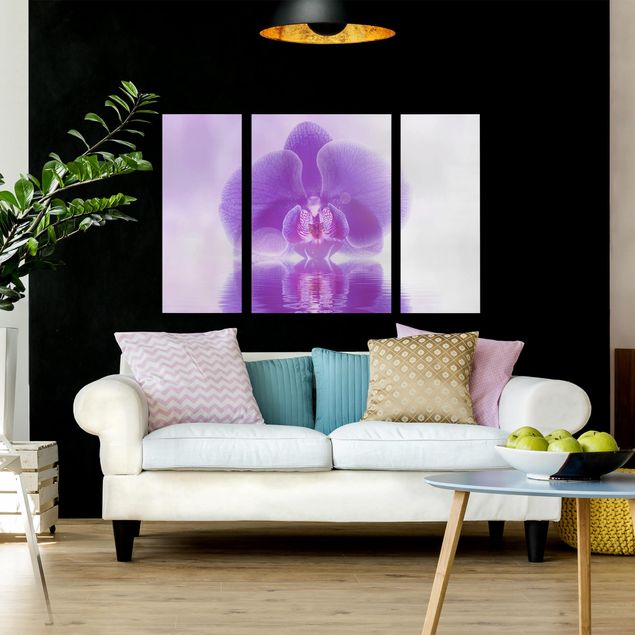 Quadri moderni per soggiorno Orchidea viola sull'acqua