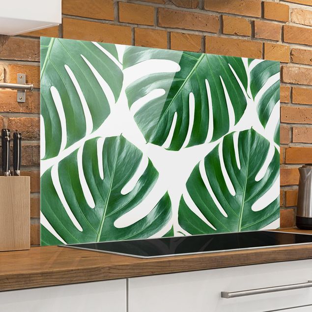 paraschizzi cucina vetro magnetico Monstera a foglie verdi tropicali