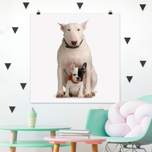 Poster cameretta bambini animali Bull Terrier e amico
