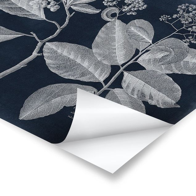 Poster - Foliage Dark Blue - Kordie Dipartimento - Orizzontale 3:4