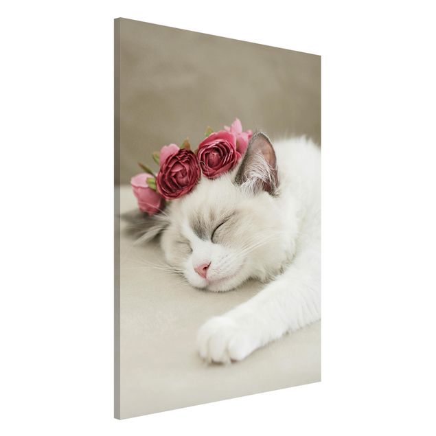 stampe animali Gatto addormentato con rose