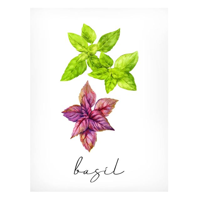 Lavagna magnetica - Illustrazione di erbe aromatiche basilico