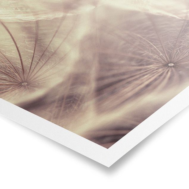 Poster - Dettagliata Dandelion Macro Shot con sfocatura effetto vintage - Verticale 4:3