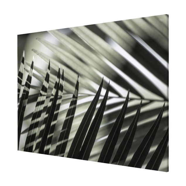 Lavagna magnetica - Giochi di ombre su ramo di palma