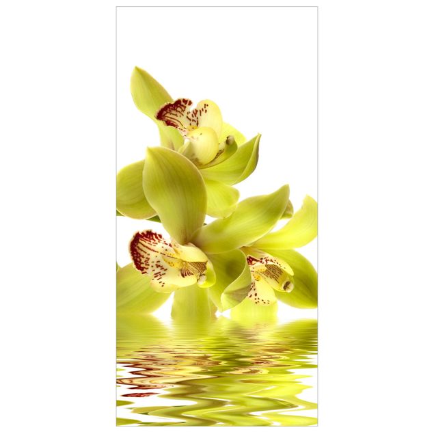 Tenda a pannello Splendid Orchid Waters 250x120cm