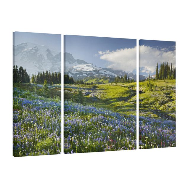 Tele con paesaggi Prato di montagna con fiori blu davanti al monte Rainier