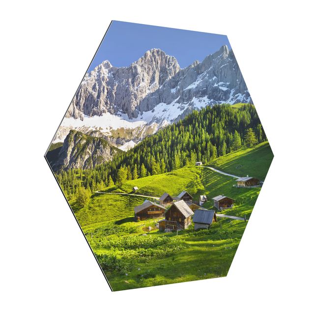 Esagono in Alluminio Dibond - Stiria Alpine Prato
