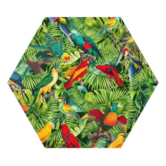 Esagono in forex - Colorato collage - Parrot In The Jungle