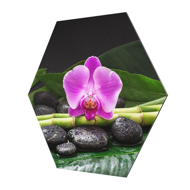 Esagono in Alluminio Dibond - Green Bamboo Con L'orchidea Blossom