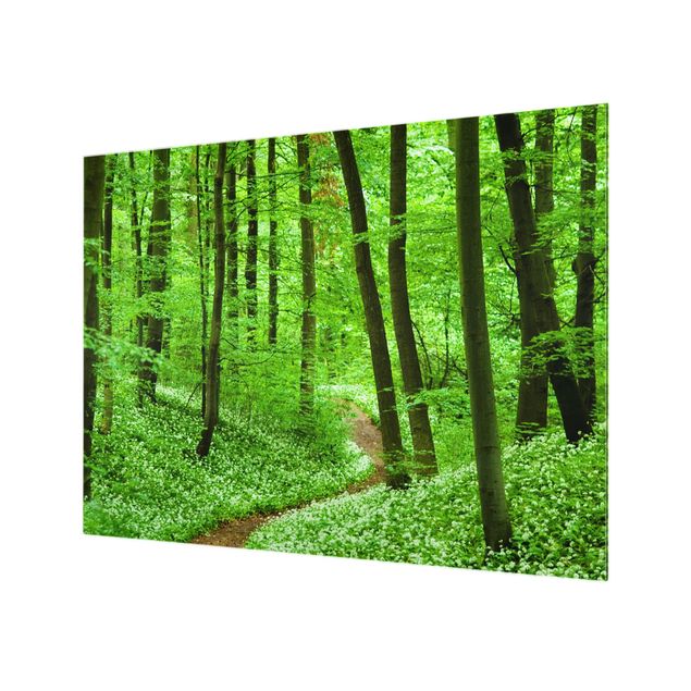 Paraschizzi in vetro - Romantic Forest Track