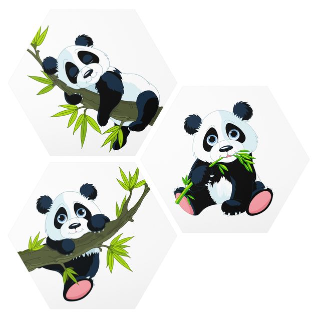 Esagono in forex - Panda Bear Set