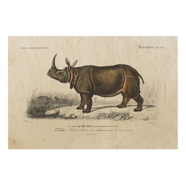 Stampa su legno - Vintage Consiglio Rhino - Orizzontale 2:3