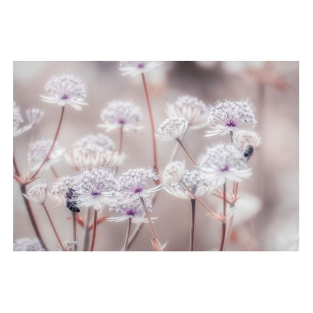 Lavagna magnetica - Leggeri fiori selvatici