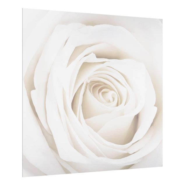 Paraschizzi in vetro - Pretty White Rose
