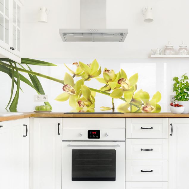 Rivestimenti cucina di plastica Eleganti acque di orchidea
