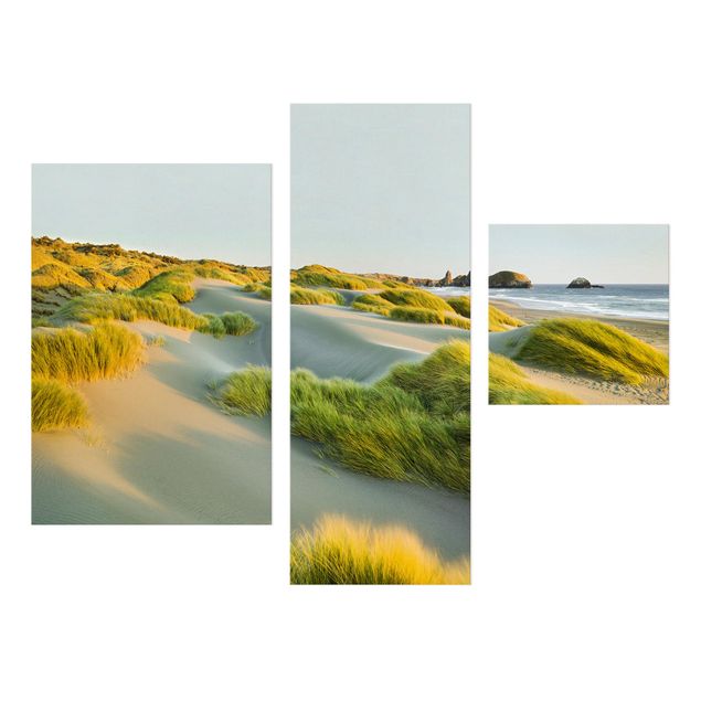 Quadri moderni per soggiorno Dune ed erbe sul mare