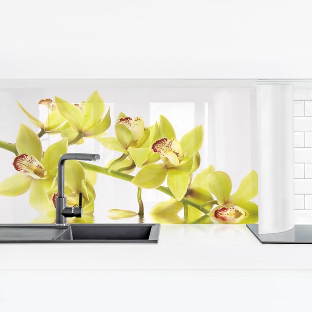 rivestimento cucina moderna Eleganti acque di orchidea
