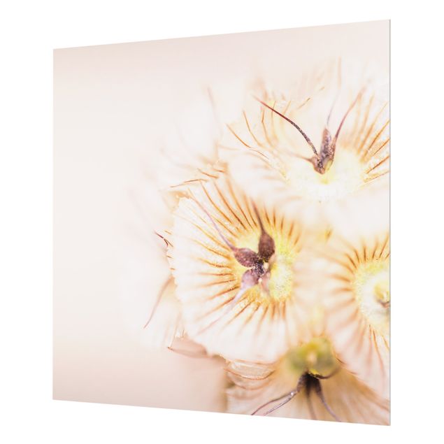 Paraschizzi in vetro - Mazzo di fiori in colori pastello - Quadrato 1:1