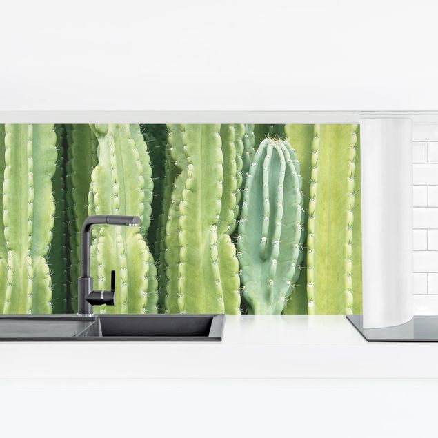 rivestimento cucina moderna Muro di cactus