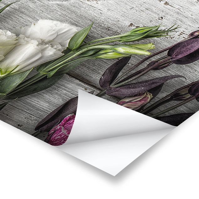 Poster - Tulip Rose Shabby Woodlook - Panorama formato orizzontale