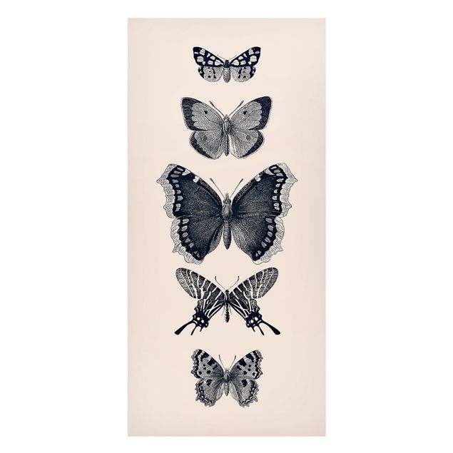 Lavagna magnetica per ufficio Farfalle d'inchiostro su sfondo beige