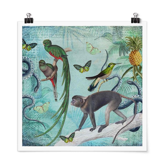 Poster - Coloniale Collage - Scimmie e uccelli del paradiso - Quadrato 1:1