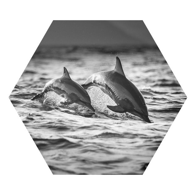 Esagono in forex - Due delfini che saltano