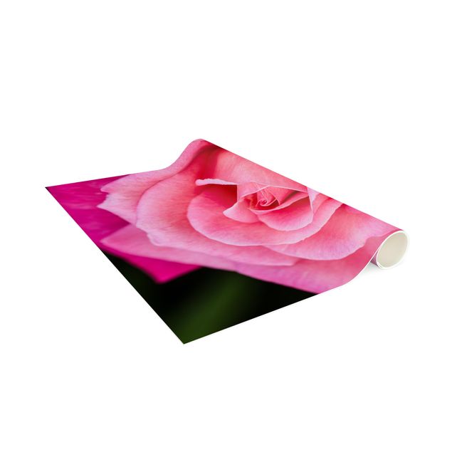 Tappeti floreali moderni Fiori di rosa rosa sfondo verde
