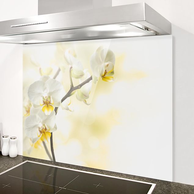 paraschizzi cucina vetro magnetico ramo di orchidea