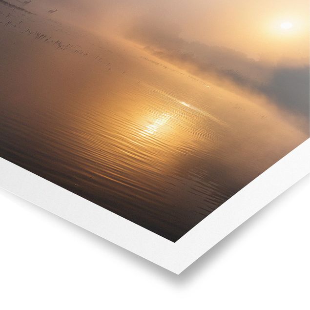 Poster - Alba sul lago con Cervi Nella Nebbia - Quadrato 1:1