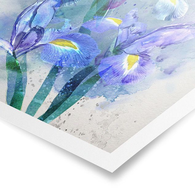 Poster - Acquerello fiori dell'iride - Verticale 4:3
