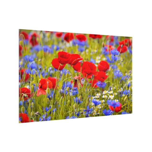Paraschizzi in vetro - Summer Meadow With Poppies And Cornflowers