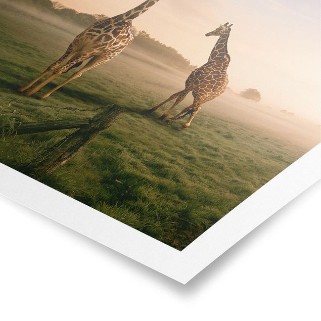 Poster - surreale Giraffe - Quadrato 1:1