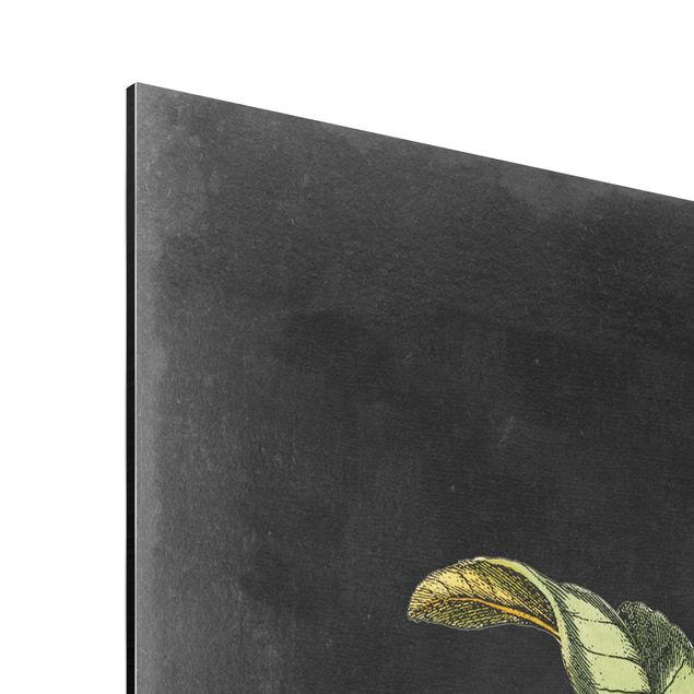 Stampa su alluminio spazzolato - Vintage Royales Foliage On Black III - Verticale 4:3