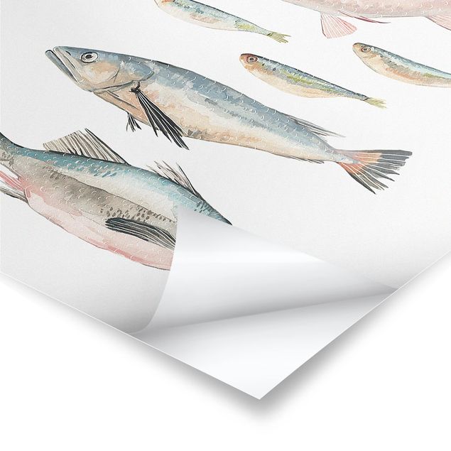 Poster - Sette pesce in acqua di colore II - Verticale 4:3