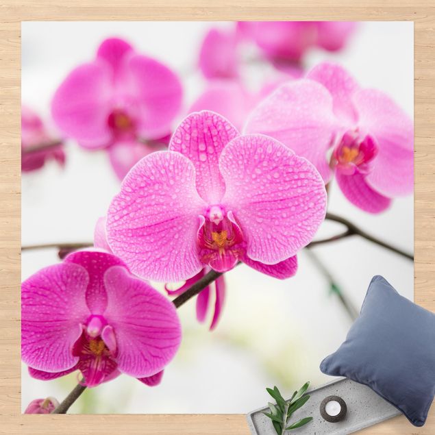 Tappeto per balcone Orchidea ravvicinata