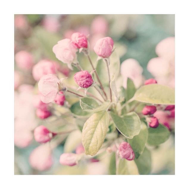Tappeti rosa Bokeh di fiori di melo rosa chiaro