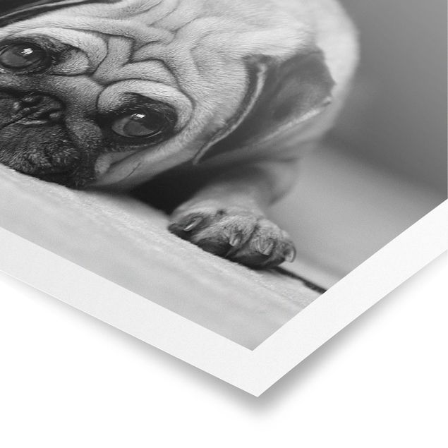 Poster - Pug Loves You II - Orizzontale 2:3