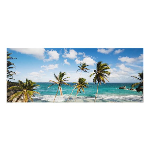 Paraschizzi in vetro - Beach Of Barbados