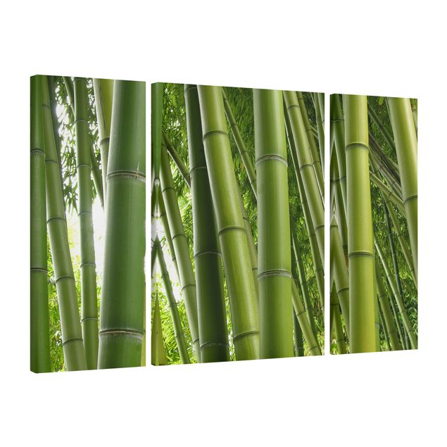 Quadri moderni per soggiorno Alberi di bambù