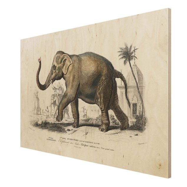 Stampa su legno - Vintage Consiglio Elephant - Orizzontale 2:3