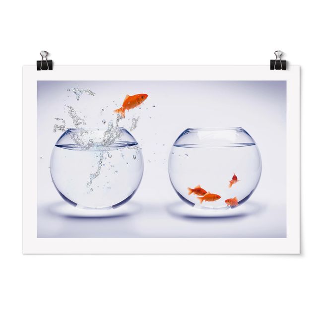 Poster - volante Goldfish - Orizzontale 2:3