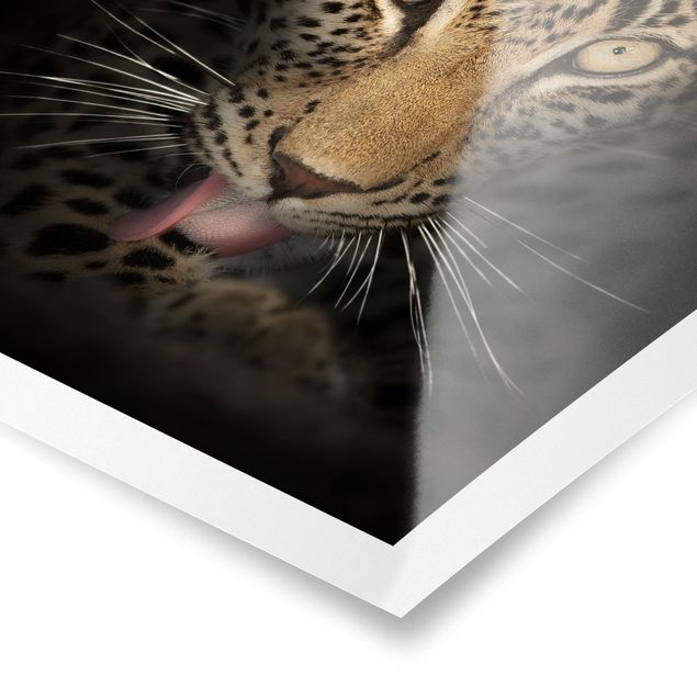 Poster - Riposo Leopard - Verticale 4:3