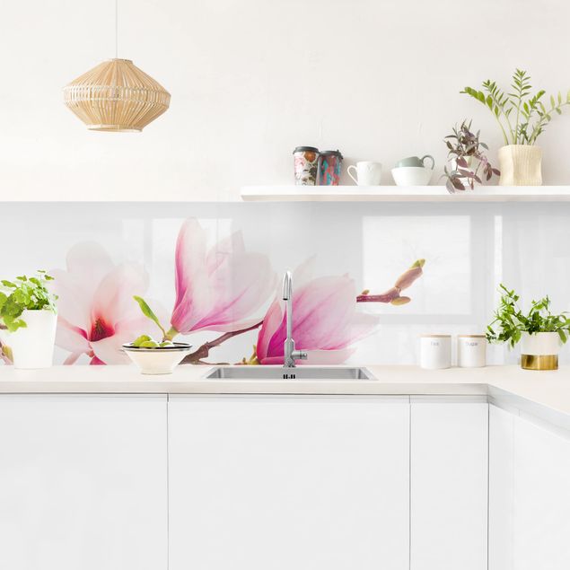 Rivestimenti cucina di plastica Delicato ramo di magnolia