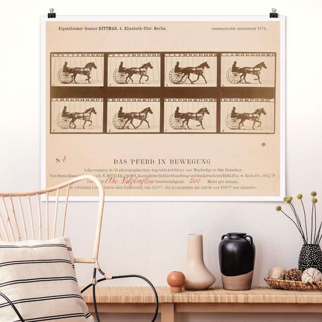 Quadri animali Eadweard Muybridge - Il cavallo in movimento