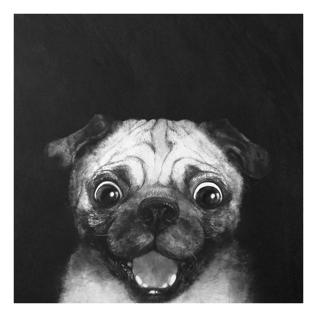 Stampa su Forex - Illustrazione Pug Dog Pittura Su Bianco e nero - Quadrato 1:1